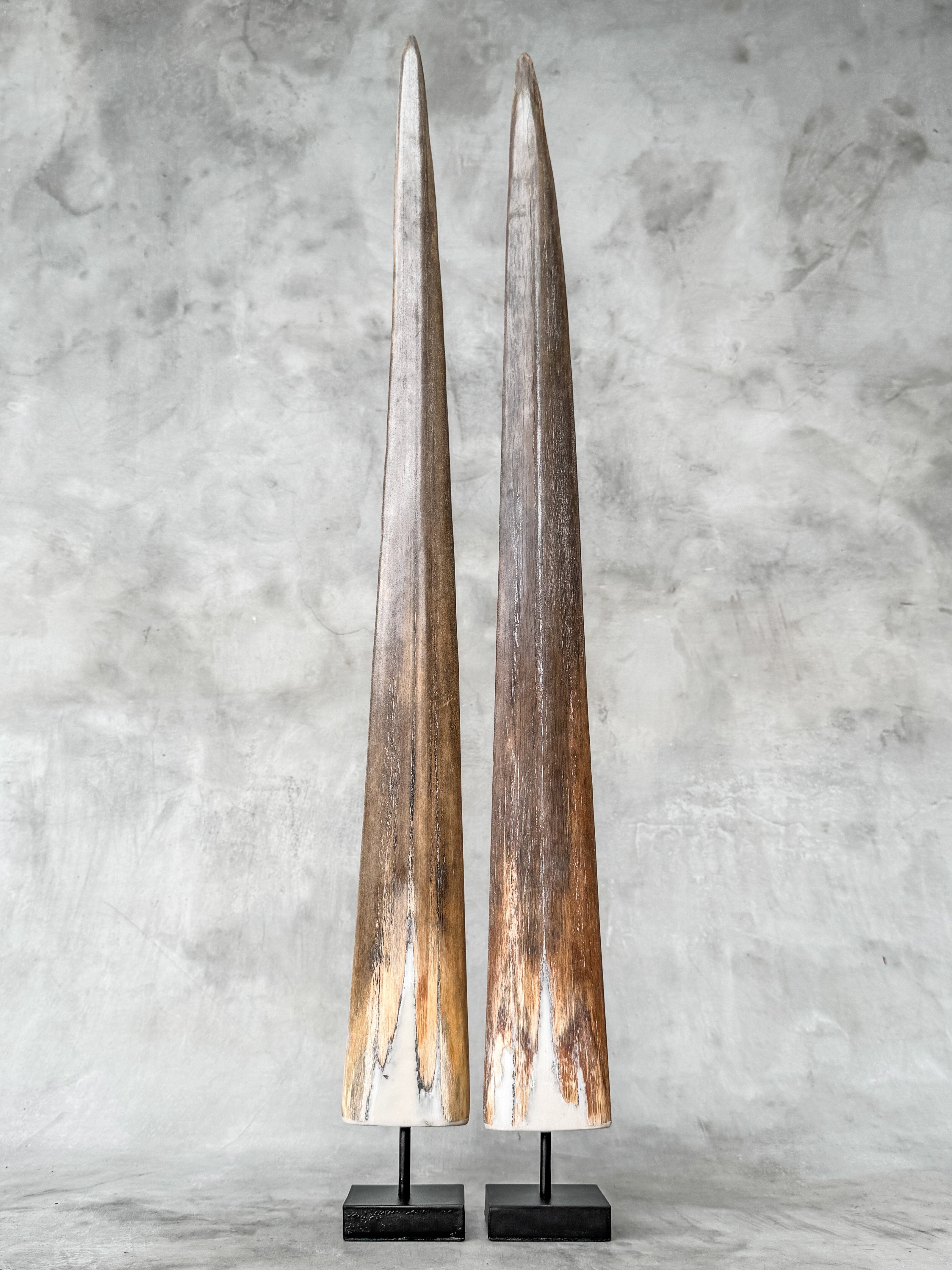Pair of Natural Tusks on Stand – Tribal Bone Sculpture, Rustic Decor, Organic AccentTusk,A/044