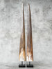 Pair of Natural Tusks on Stand – Tribal Bone Sculpture, Rustic Decor, Organic AccentTusk,A/044
