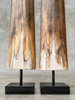 Pair of Natural Tusks on Stand – Tribal Bone Sculpture, Rustic Decor, Organic AccentTusk,A/044