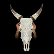 Carved Cow Skulls with Floral Carving Skull,A/186