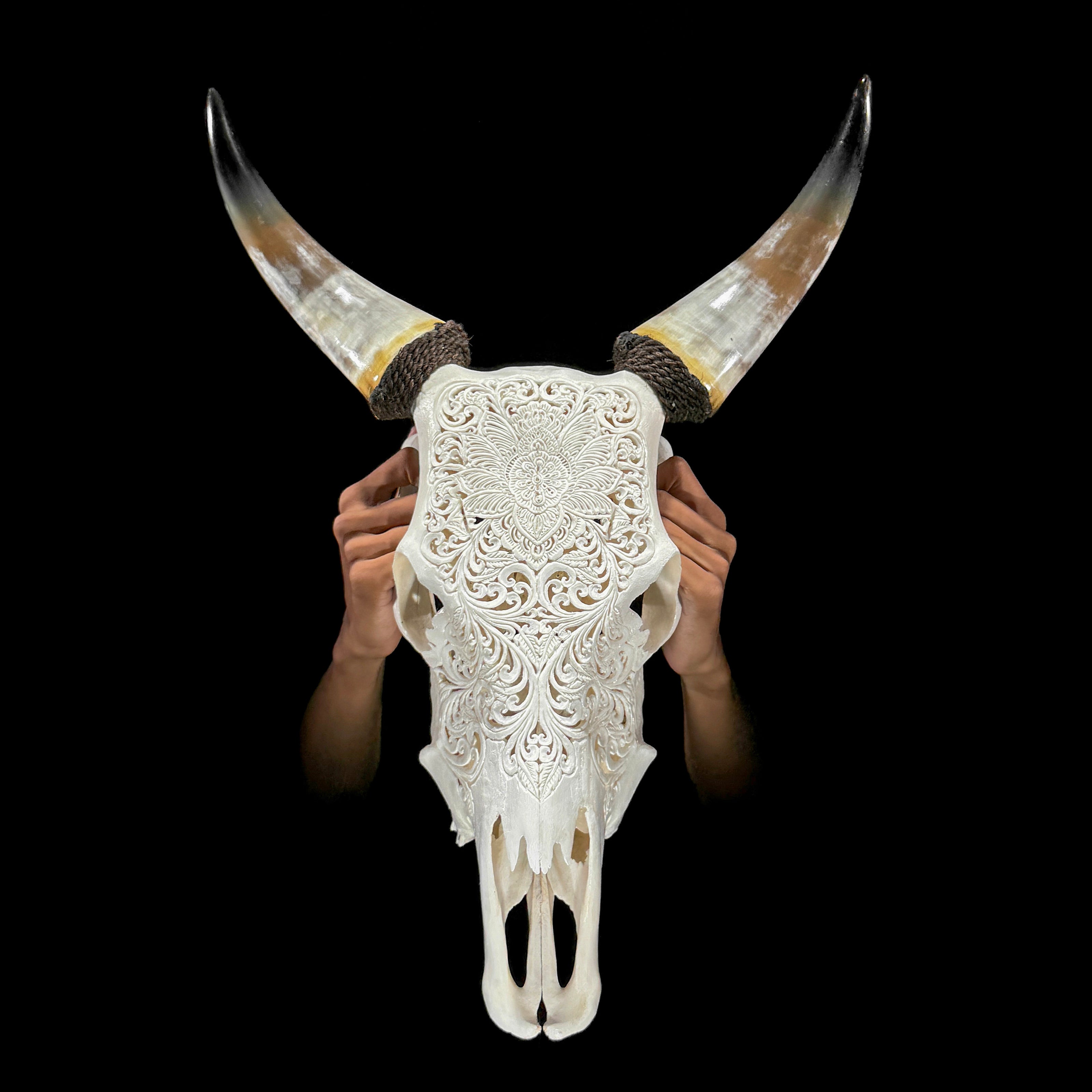 Carved Cow Skulls with Floral Carving Skull,A/186