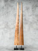 Pair of Natural Tusks on Stand – Rustic Bone Sculpture, Tribal-Inspired Decor, Earthy Accent - Tusk,A/050