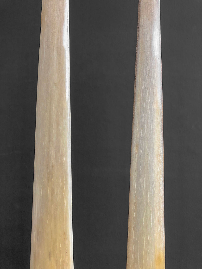A Pair of Tusks on stand  21/EX/218:
