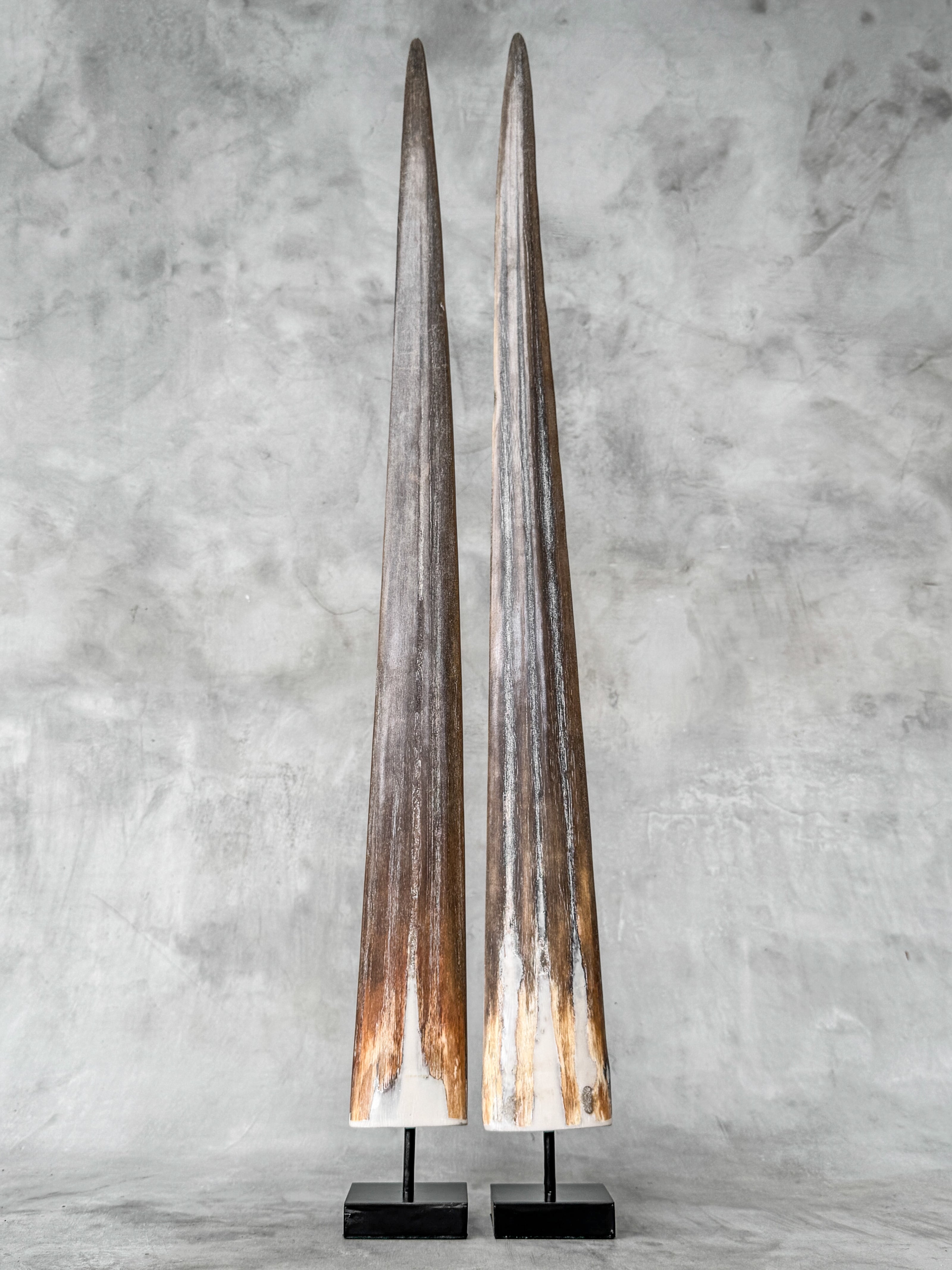 Pair of Natural Tusks on Stand – Rustic Bone Sculpture, Tribal-Inspired Decor, Earthy Accent - Tusk,A/050
