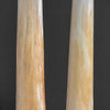 A Pair of Tusks on stand  21/EX/218: