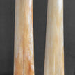 A Pair of Tusks on stand  21/EX/218: