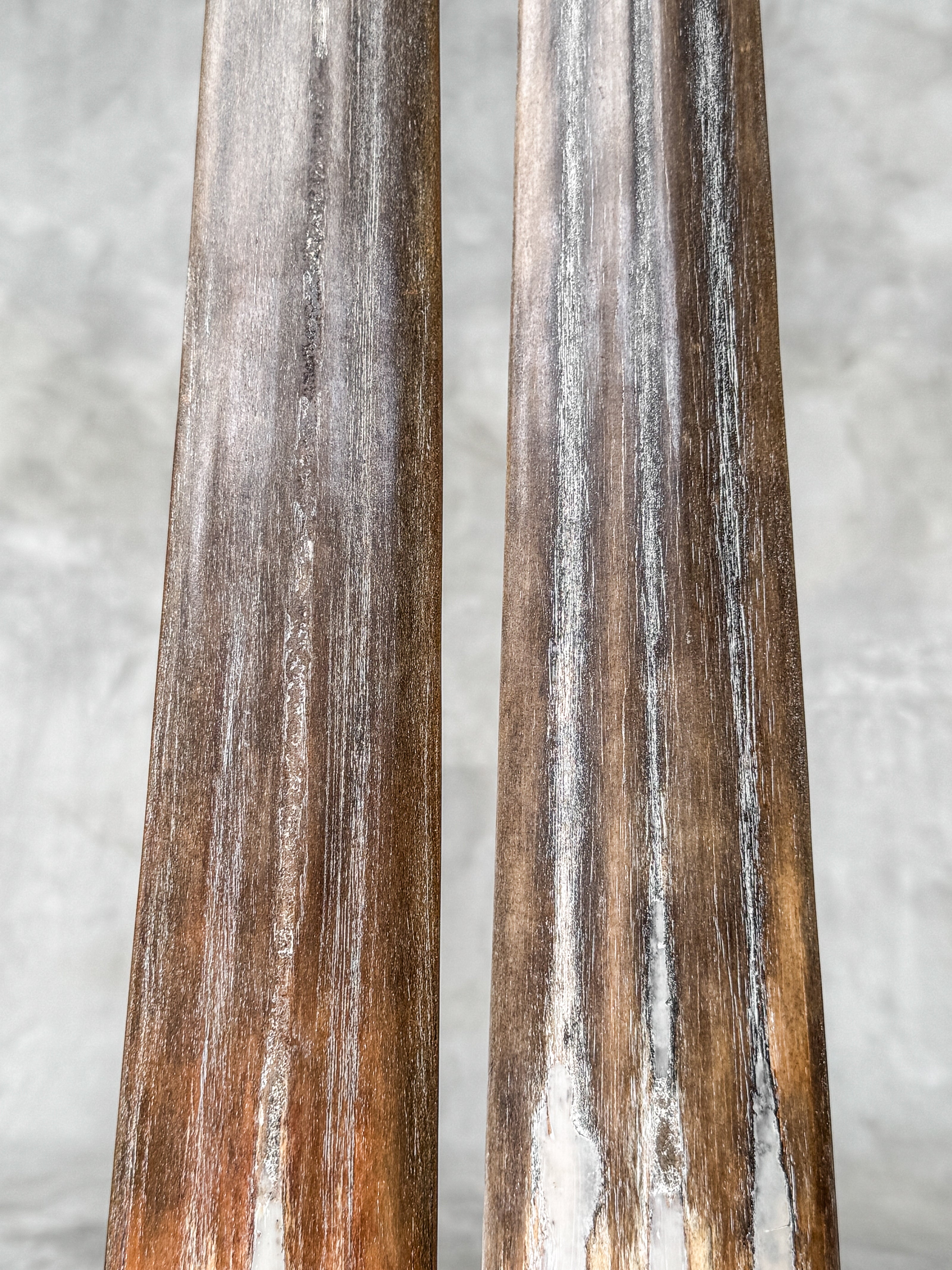 Pair of Natural Tusks on Stand – Rustic Bone Sculpture, Tribal-Inspired Decor, Earthy Accent - Tusk,A/050
