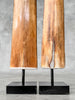 Pair of Natural Tusks on Stand – Rustic Bone Sculpture, Tribal-Inspired Decor, Organic Accent - Tusk,A/048