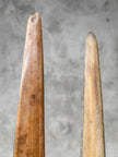 Pair of Natural Tusks on Stand – Rustic Bone Sculpture, Tribal-Inspired Decor, Organic Accent - Tusk,A/048