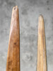 Pair of Natural Tusks on Stand – Rustic Bone Sculpture, Tribal-Inspired Decor, Organic Accent - Tusk,A/048