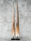 Pair of Natural Tusks on Stand – Rustic Bone Sculpture, Tribal-Inspired Decor, Organic Accent - Tusk,A/048