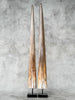 Pair of Natural Tusks on Stand – Rustic Bone Sculpture, Tribal-Inspired Decor, Organic Accent - Tusk,A/048