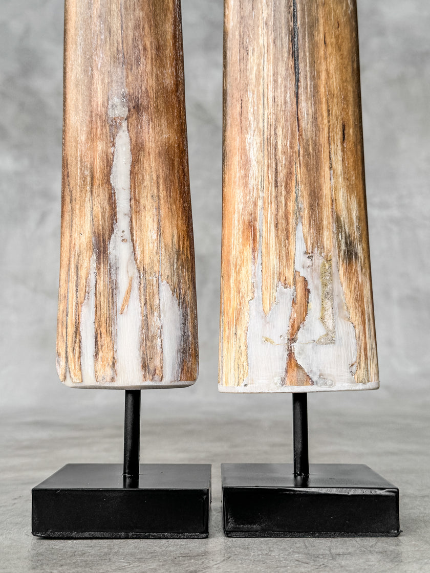 A Pair of Tusks on stand  | Tusk,A/048
