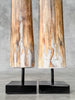 Pair of Natural Tusks on Stand – Rustic Bone Sculpture, Tribal-Inspired Decor, Organic Accent - Tusk,A/048