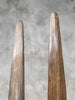 Pair of Natural Tusks on Stand – Rustic Bone Sculpture, Tribal-Inspired Decor, Organic Accent - Tusk,A/048