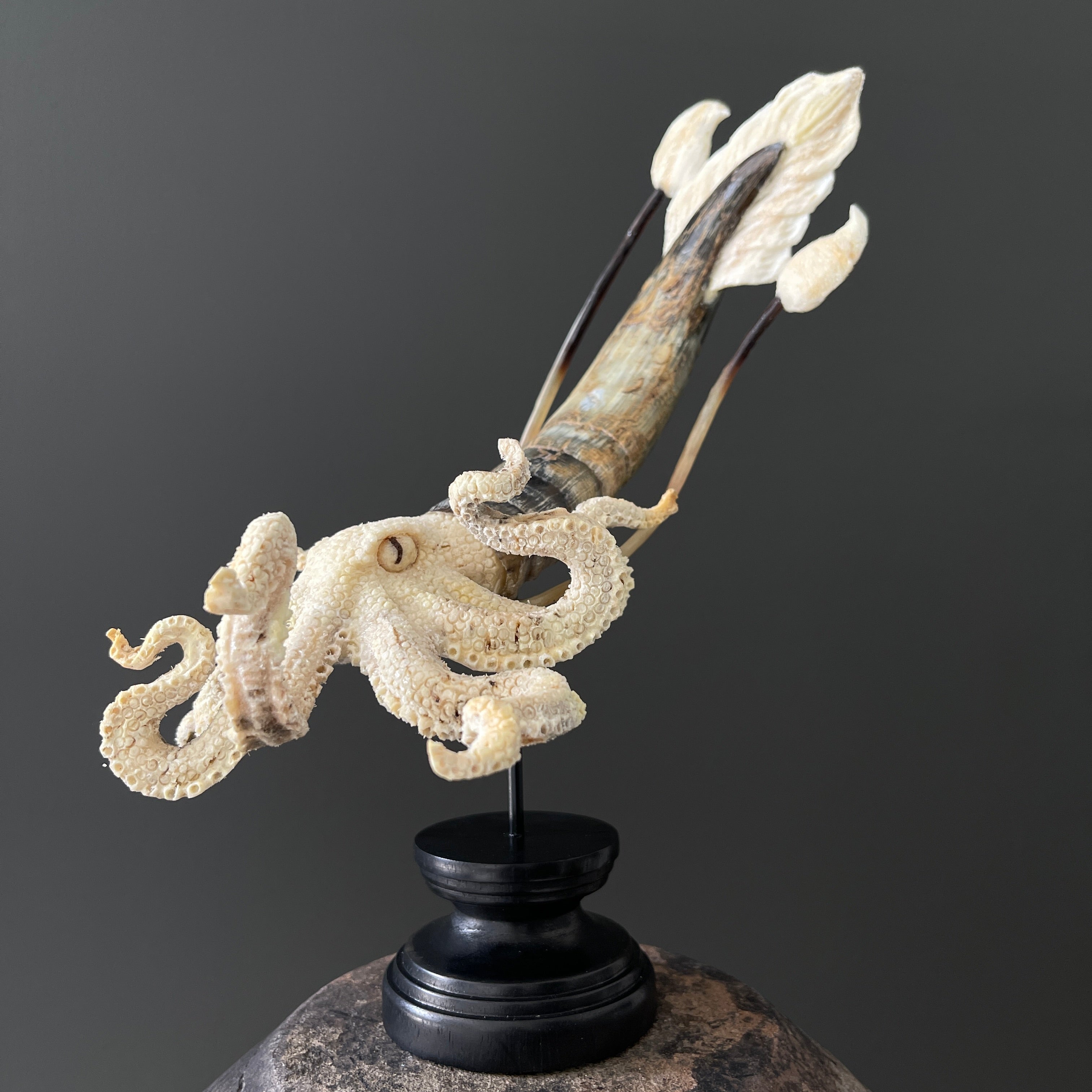 A Stunning Hand Carved Octopus With Horn on a Stand - 22/EX/466