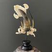 A Stunning Hand Carved Octopus With Horn on a Stand - 22/EX/466