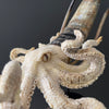 A Stunning Hand Carved Octopus With Horn on a Stand - 22/EX/466