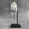 Wonderful Zebra Crystal Heart-Shaped on a custom stand CH/576