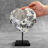 Wonderful Zebra Crystal Heart-Shaped on a custom stand CH/581