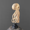 Tamarind Wood Skull with Carved Tentacles - 7U/110