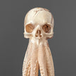 Tamarind Wood Skull with Carved Tentacles - 7U/110