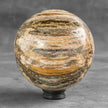 Wonderful Petrified Wood Sphere on a Custom Stand PS/508