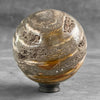 Wonderful Petrified Wood Sphere on a Custom Stand PS/508