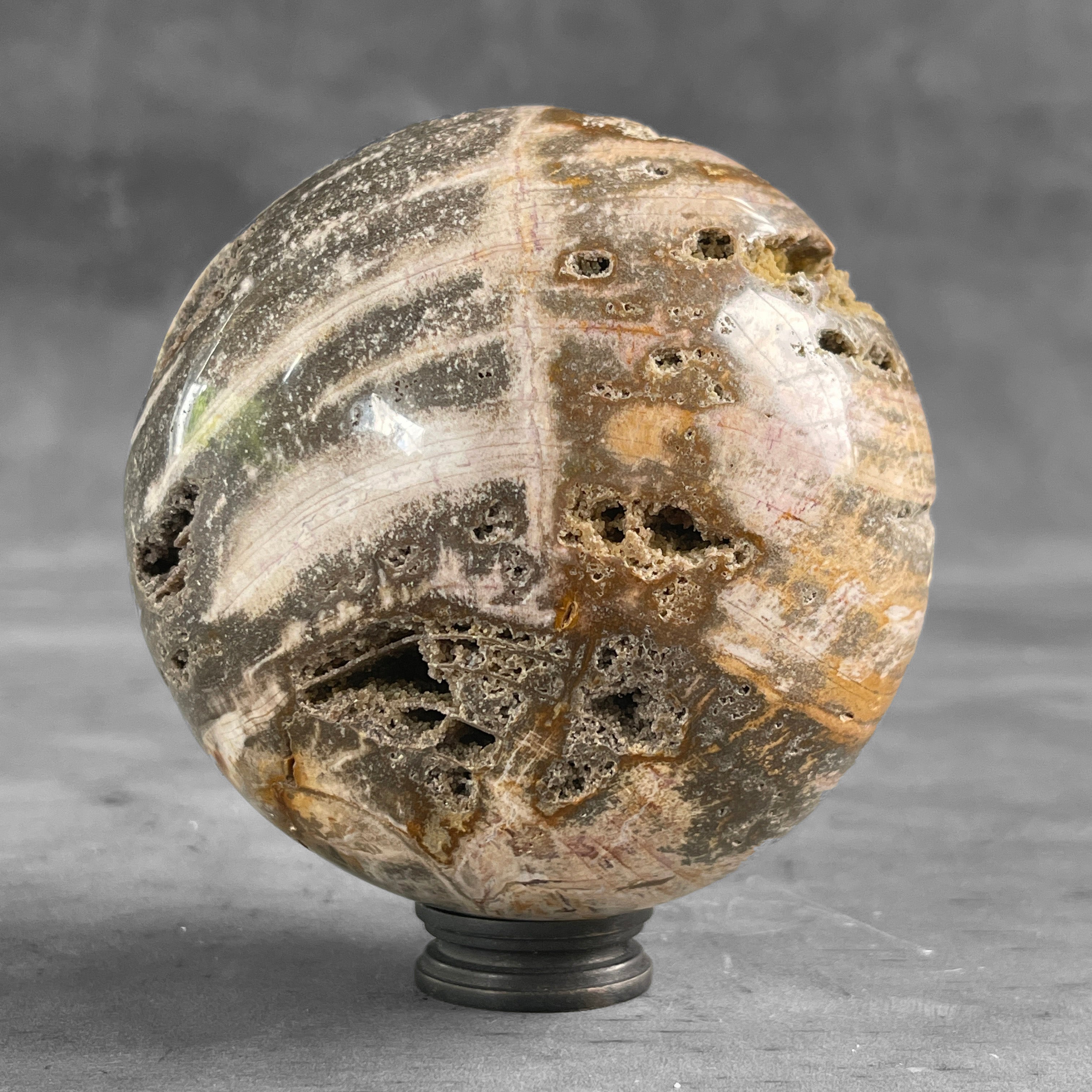 Wonderful Petrified Wood Sphere on a Custom Stand PS/508