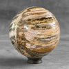 Wonderful Petrified Wood Sphere on a Custom Stand PS/508