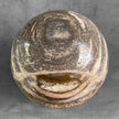 Wonderful Petrified Wood Sphere on a Custom Stand PS/508