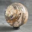 Wonderful Petrified Wood Sphere on a Custom Stand PS/516