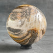 Wonderful Petrified Wood Sphere on a Custom Stand PS/516