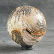 Wonderful Petrified Wood Sphere on a Custom Stand PS/516