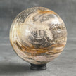 Wonderful Petrified Wood Sphere on a Custom Stand PS/516