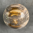 Wonderful Petrified Wood Sphere on a Custom Stand PS/516