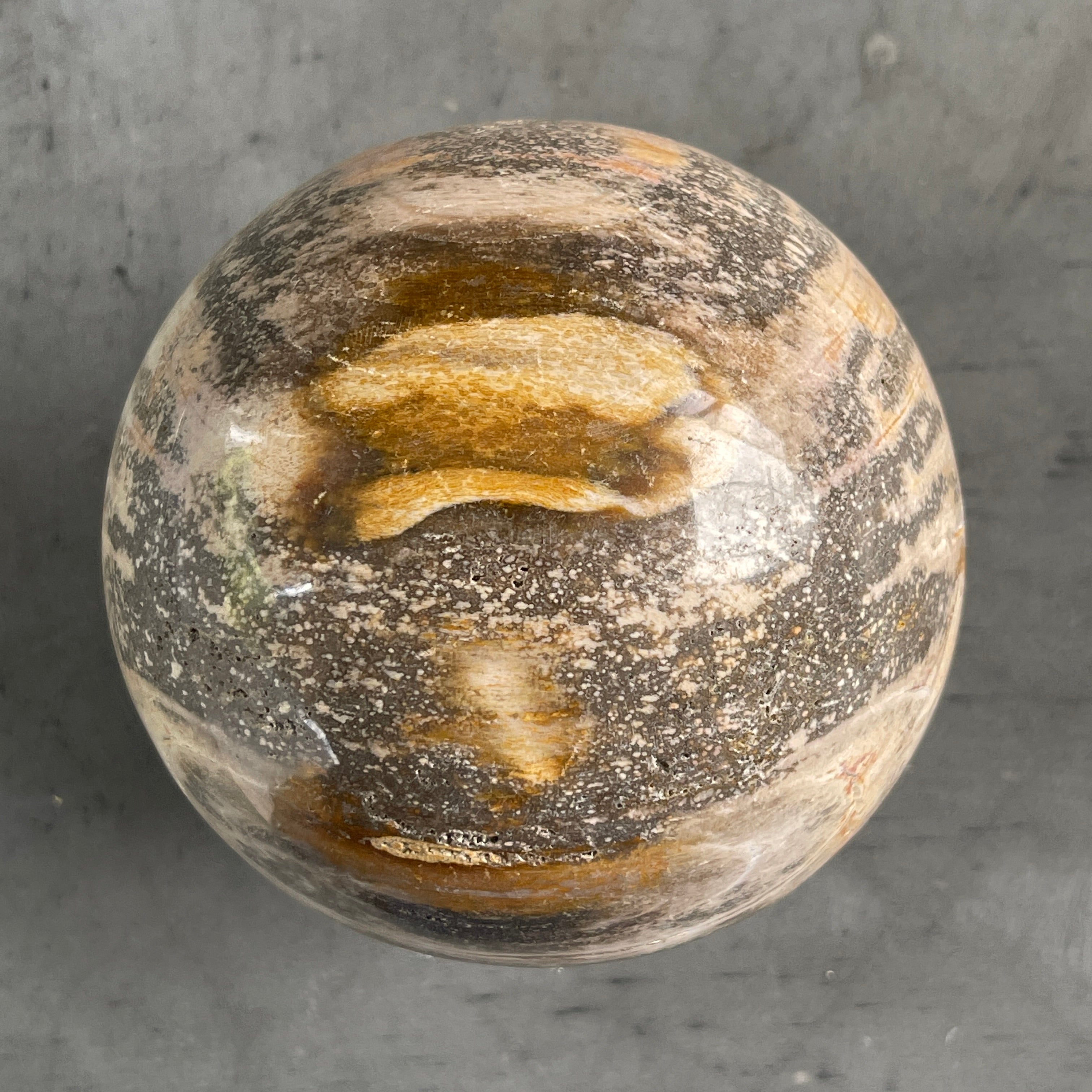 Wonderful Petrified Wood Sphere on a Custom Stand PS/516