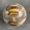 Wonderful Petrified Wood Sphere on a Custom Stand PS/516