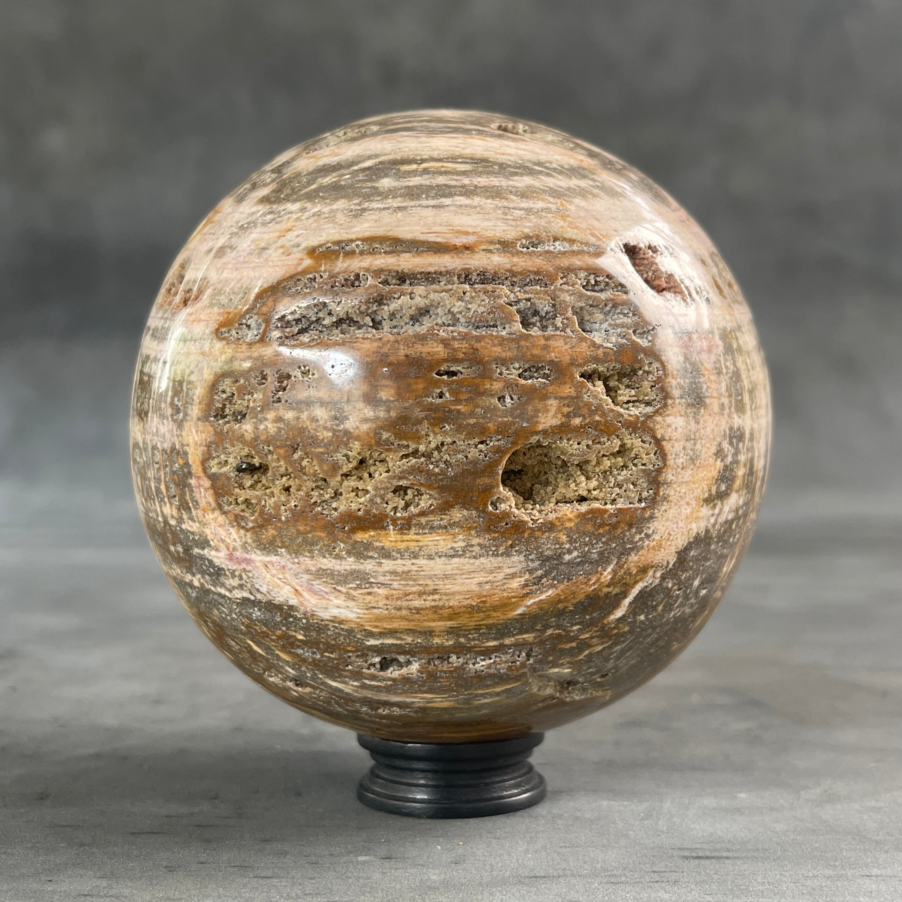 Beautiful Petrified Palm Root Sphere on a Custom Stand PS/541