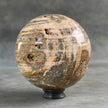 Beautiful Petrified Palm Root Sphere on a Custom Stand PS/541