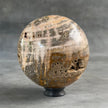 Beautiful Petrified Palm Root Sphere on a Custom Stand PS/541