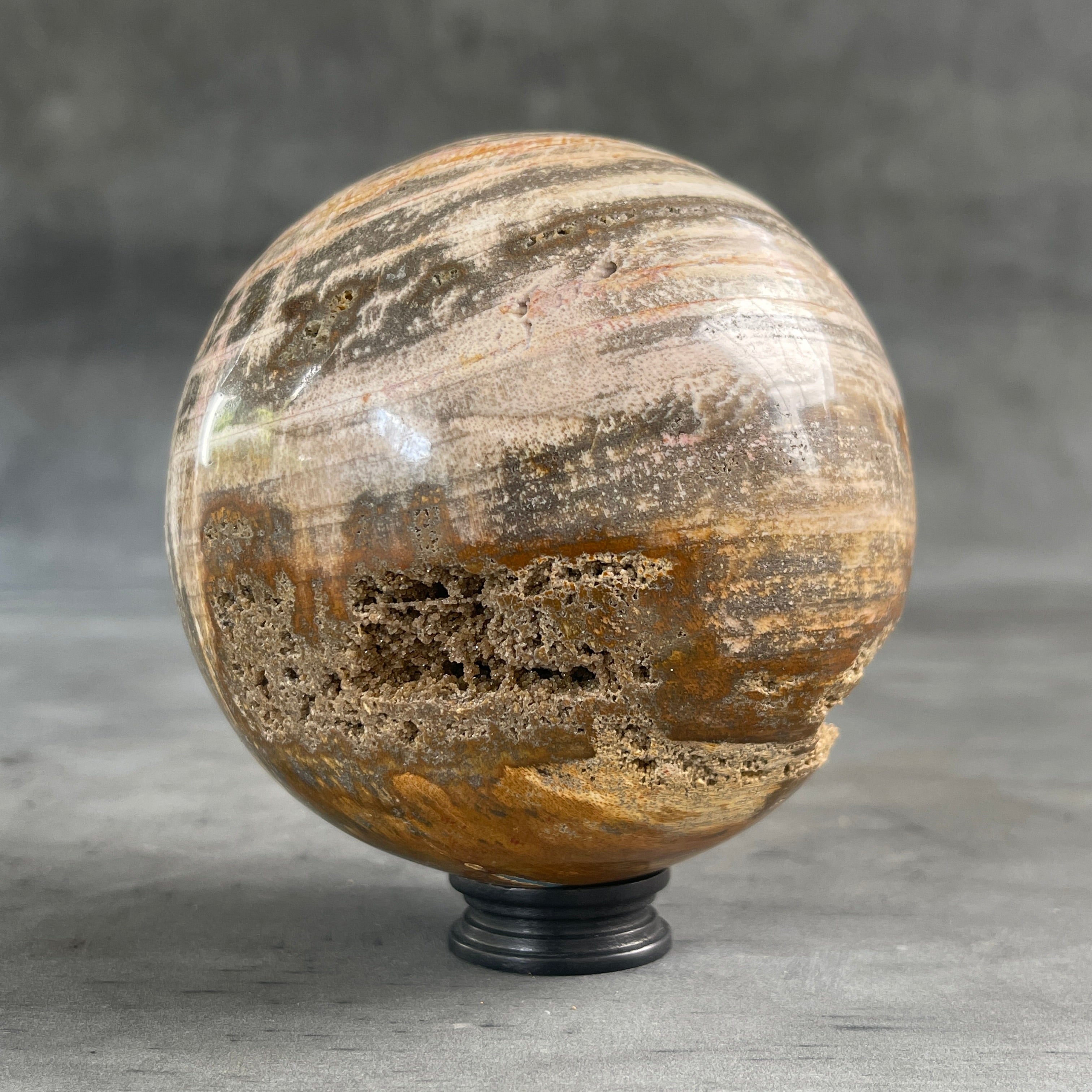 Beautiful Petrified Palm Root Sphere on a Custom Stand PS/541