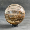 Beautiful Petrified Palm Root Sphere on a Custom Stand PS/541