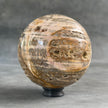 Beautiful Petrified Palm Root Sphere on a Custom Stand PS/541