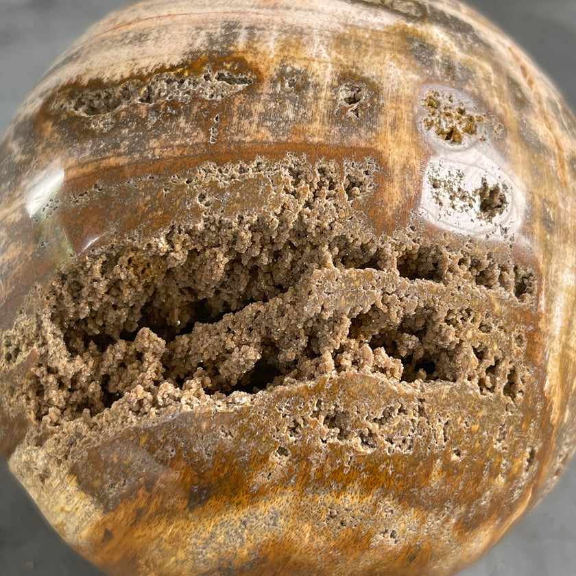 Beautiful Petrified Palm Root Sphere on a Custom Stand PS/541