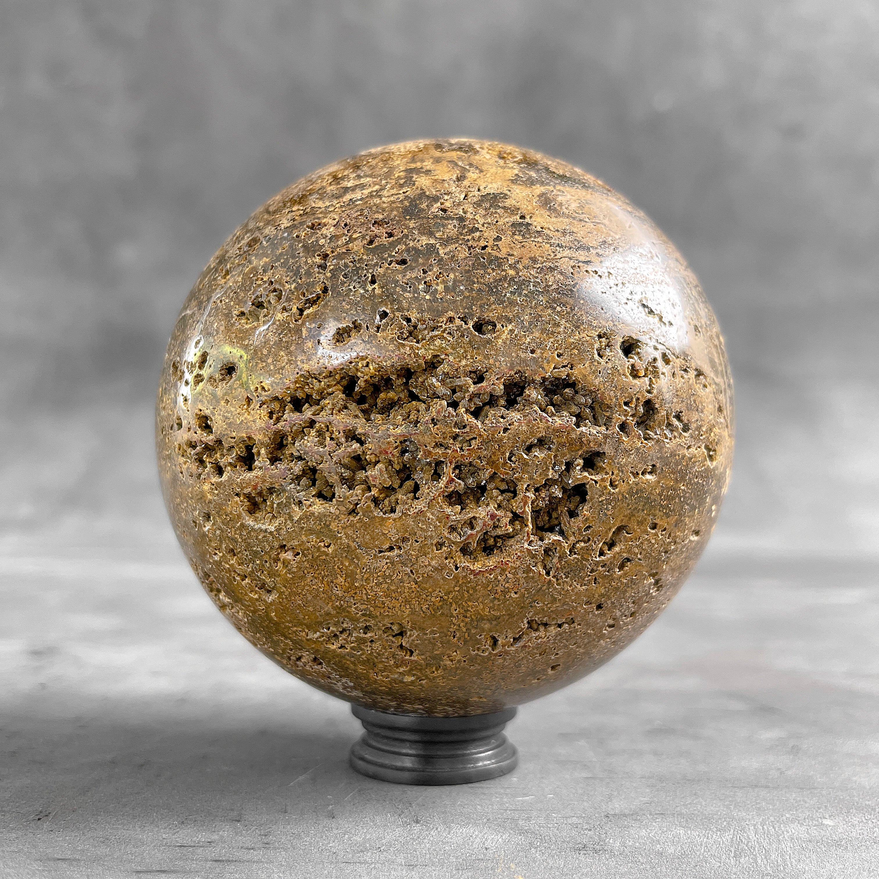 Petrified Palm Root Sphere on Custom Stand – Fossil Stone Decor, Earthy Crystal Ball, Natural Home Accent - PS 546