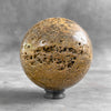 Beautiful Petrified Palm Root Sphere on a Custom Stand PS 546