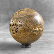 Petrified Palm Root Sphere on Custom Stand – Fossil Stone Decor, Earthy Crystal Ball, Natural Home Accent - PS 546