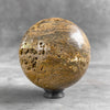 Beautiful Petrified Palm Root Sphere on a Custom Stand PS 546