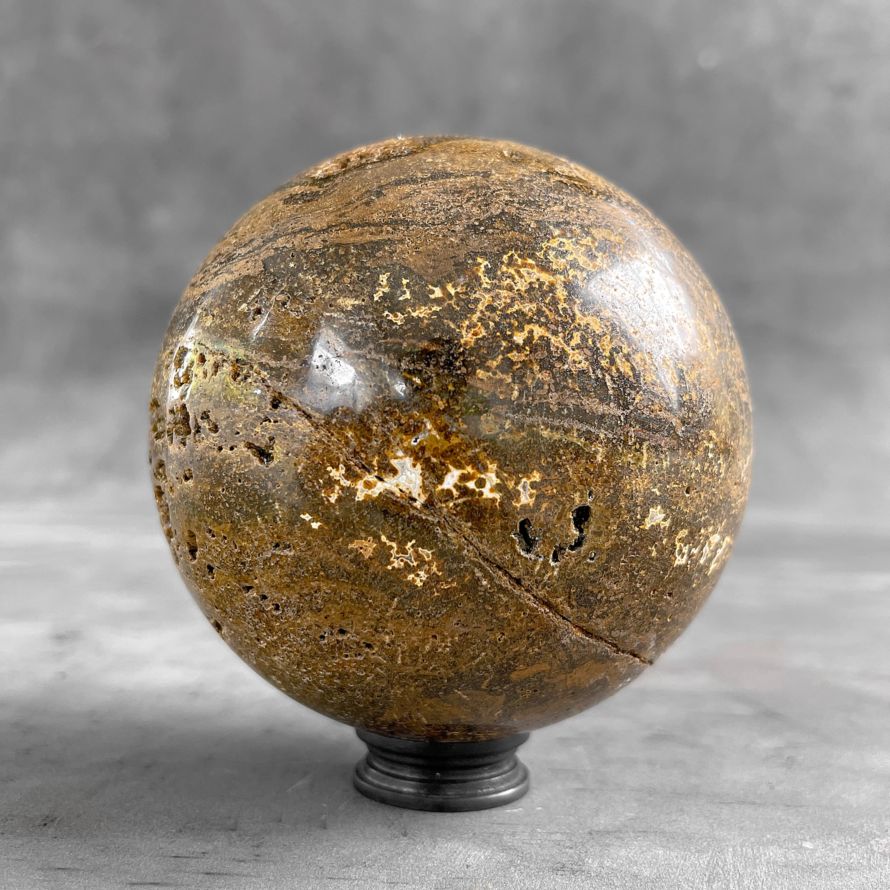 Petrified Palm Root Sphere on Custom Stand – Fossil Stone Decor, Earthy Crystal Ball, Natural Home Accent - PS 546